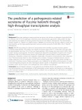 The prediction of a pathogenesis-related secretome of Puccinia helianthi through high-throughput transcriptome analysis