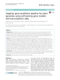 Seqping: Gene prediction pipeline for plant genomes using self-training gene models and transcriptomic data