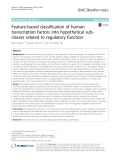 Feature-based classification of human transcription factors into hypothetical subclasses related to regulatory function