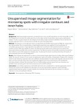 Unsupervised image segmentation for microarray spots with irregular contours and inner holes