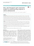 Intra- and interspecies gene expression models for predicting drug response in canine osteosarcoma