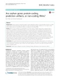 Are orphan genes protein-coding, prediction artifacts, or non-coding RNAs