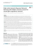High-order dynamic Bayesian Network learning with hidden common causes for causal gene regulatory network