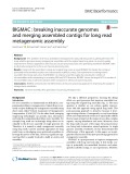BIGMAC: Breaking inaccurate genomes and merging assembled contigs for long read metagenomic assembly