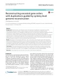 Reconstructing ancestral gene orders with duplications guided by synteny level genome reconstruction