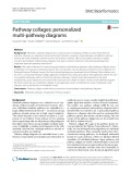 Pathway collages: Personalized multi-pathway diagrams