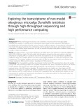 Exploring the transcriptome of non-model oleaginous microalga Dunaliella tertiolecta through high-throughput sequencing and high performance computing