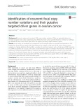Identification of recurrent focal copy number variations and their putative targeted driver genes in ovarian cancer