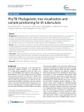 PhyTB: Phylogenetic tree visualisation and sample positioning for M. tuberculosis