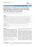 Identification of binding sites and favorable ligand binding moieties by virtual screening and self-organizing map analysis