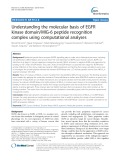 Understanding the molecular basis of EGFR kinase domain/MIG-6 peptide recognition complex using computational analyses