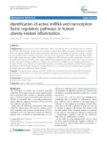 Identification of active miRNA and transcription factor regulatory pathways in human obesity-related inflammation