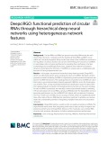 DeepciRGO: Functional prediction of circular RNAs through hierarchical deep neural networks using heterogeneous network features