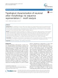 Topological characterization of neuronal arbor morphology via sequence representation: I - motif analysis