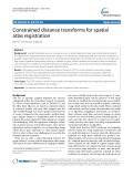 Constrained distance transforms for spatial atlas registration