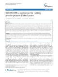 DOCKSCORE: A webserver for ranking protein-protein docked poses