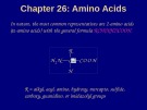 Lecture Organic chemistry - Chapter 26: Amino acids