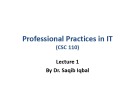 Lecture Professional Practices in IT: Lecture 1