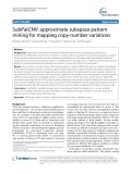 SubPatCNV: Approximate subspace pattern mining for mapping copy-number variations