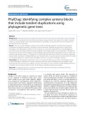 PhylDiag: Identifying complex synteny blocks that include tandem duplications using phylogenetic gene trees