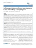 Cellular quantitative analysis of neuroblastoma tumor and splitting overlapping cells