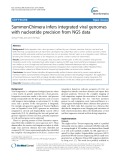 SummonChimera infers integrated viral genomes with nucleotide precision from NGS data