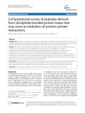 Computational survey of peptides derived from disulphide-bonded protein loops that may serve as mediators of protein-protein interactions