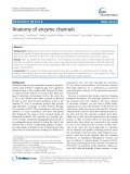 Anatomy of enzyme channels