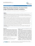 Inferring clonal evolution of tumors from single nucleotide somatic mutations