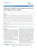 Prediction of piRNAs using transposon interaction and a support vector machine