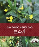 Cây thuốc của người Dao tại Ba Vì: Phần 2