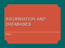 Seminars in IT for Businesses - Lecture 12: Information and databases (Part 1)
