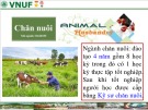 Một số hình ảnh về hoạt động chăn nuôi, thú y Việt Nam