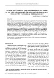 Sự hiện diện của MSSV, Vibrio parahaemolyticus gây AHPND và EHP trên tôm giống và tôm nuôi theo mô hình QC/QCCT vùng chuyên tôm nước lợ ở ĐBSCL năm 2017