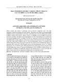Hoạt tính kháng oxy hóa và kháng viêm in vitro của các cao chiết lá cây cò sen (Miliusa velutina)