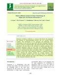 Path coefficient analysis in first clonal stage of sugarcane (Saccharum officinarum L.)