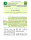 Perception and adoption of nutririch crops cultivation practices among soliga farmers