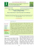 Effect of tillage and nutrient management practices on maydis leaf blight of maize