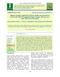 Influence of foliar application of benzyl adenine and nutrients on growth and yield of transplanted ginger (Zingiber officinale rosc.) under Hill Zone of Karnataka