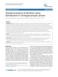 Statistical analysis of dendritic spine distributions in rat hippocampal cultures