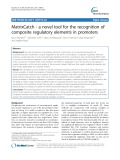 MatrixCatch - a novel tool for the recognition of composite regulatory elements in promoters