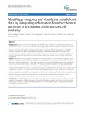 MetaMapp: Mapping and visualizing metabolomic data by integrating information from biochemical pathways and chemical and mass spectral similarity
