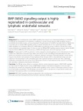 BMP-SMAD signalling output is highly regionalized in cardiovascular and lymphatic endothelial networks