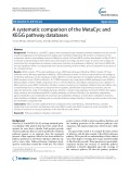 A systematic comparison of the MetaCyc and KEGG pathway databases