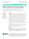 Regional registration of whole slide image stacks containing major histological artifacts