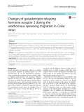Changes of gonadotropin-releasing hormone receptor 2 during the anadromous spawning migration in Coilia nasus