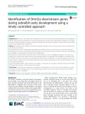 Identification of Dmrt2a downstream genes during zebrafish early development using a timely controlled approach