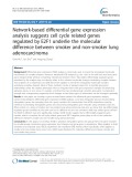 Network-based differential gene expression analysis suggests cell cycle related genes regulated by E2F1 underlie the molecular difference between smoker and non-smoker lung adenocarcinoma