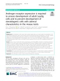 Androgen receptor expression is required to ensure development of adult Leydig cells and to prevent development of steroidogenic cells with adrenal characteristics in the mouse testis