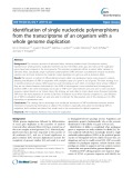 Identification of single nucleotide polymorphisms from the transcriptome of an organism with a whole genome duplication